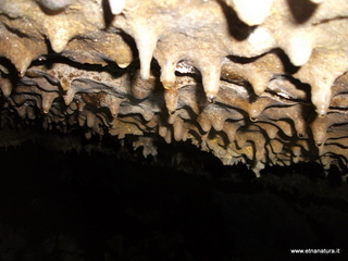otta Petralia-17-03-2013 10-46-31